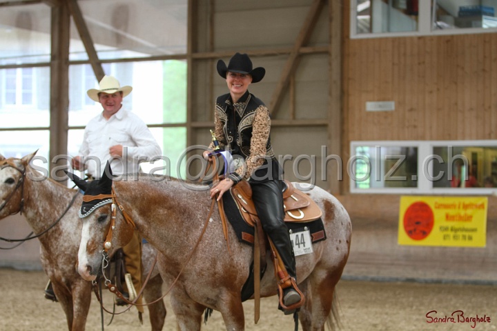 31-ApHC OWP_051.jpg